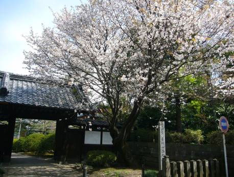 花の寺めぐり　11号-4