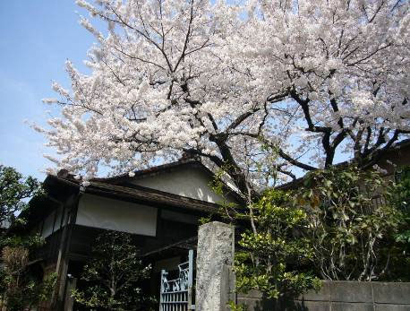 花の寺めぐり　11号-12