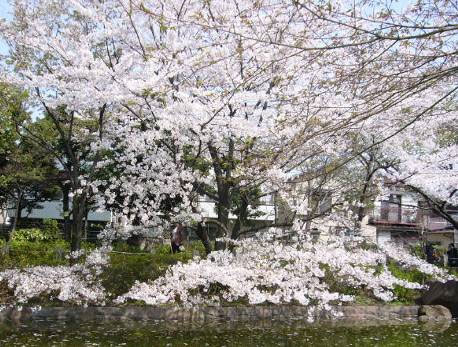 花の寺めぐり11号-15