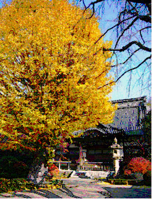 第１６号　氷川神社