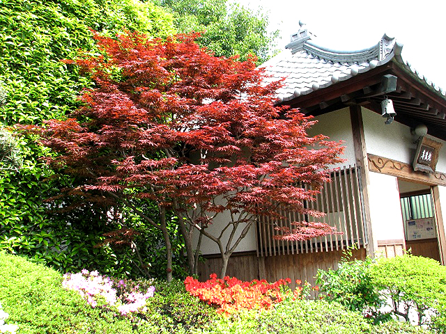 第１７号　長龍寺