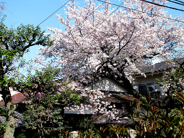 西光寺