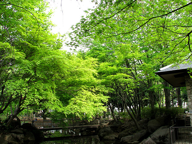 馬橋公園