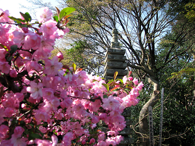 西照寺