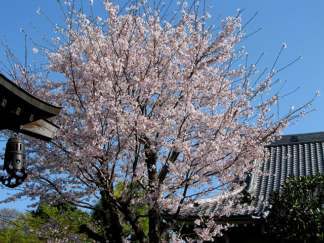 松應寺