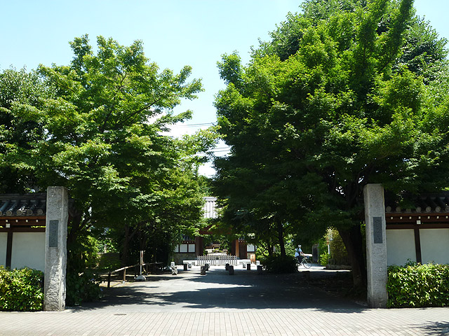 曹洞宗　高圓寺