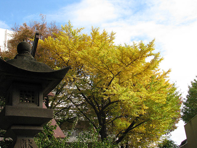 氷川神社