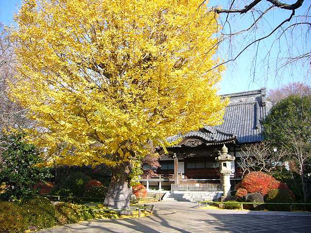 高圓寺