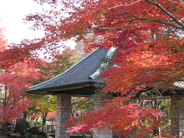 馬橋公園