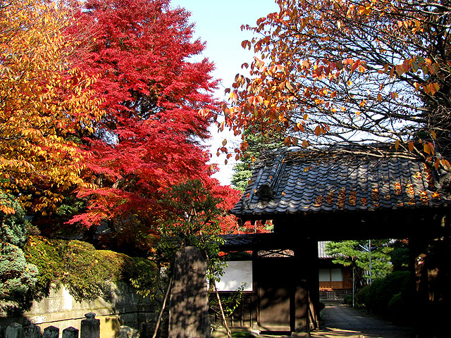 西照寺