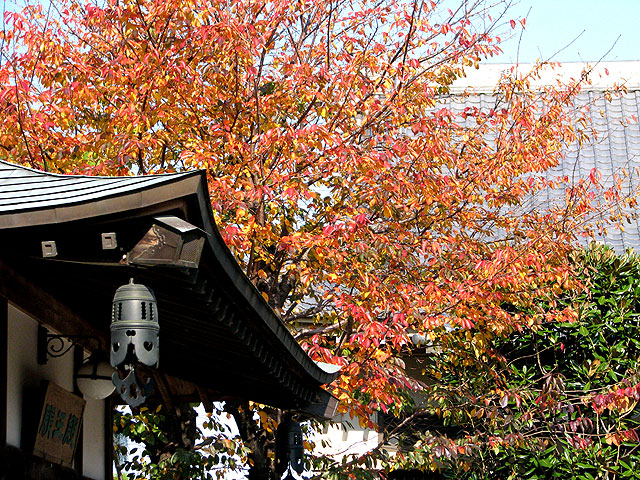 松應寺