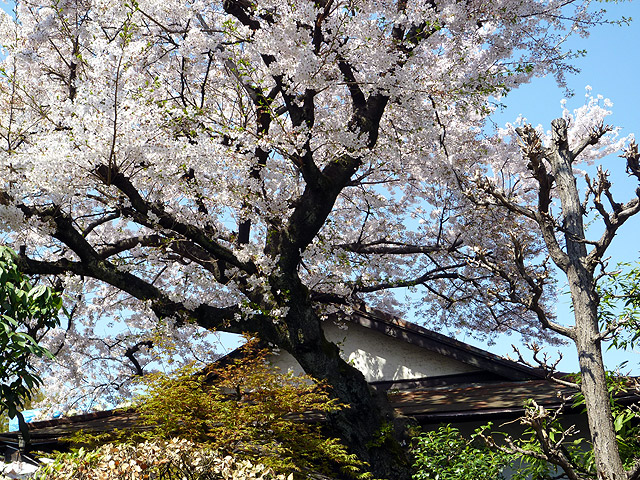 西光寺