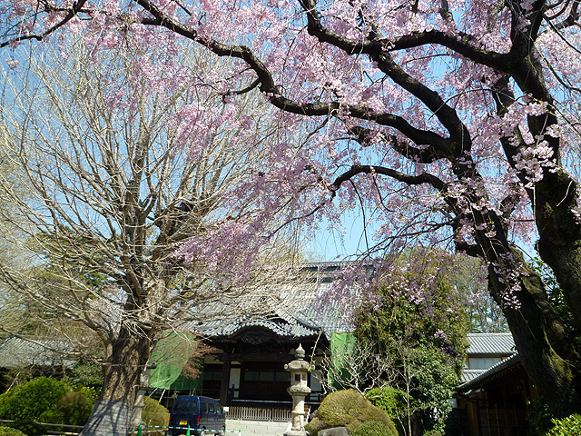 高圓寺