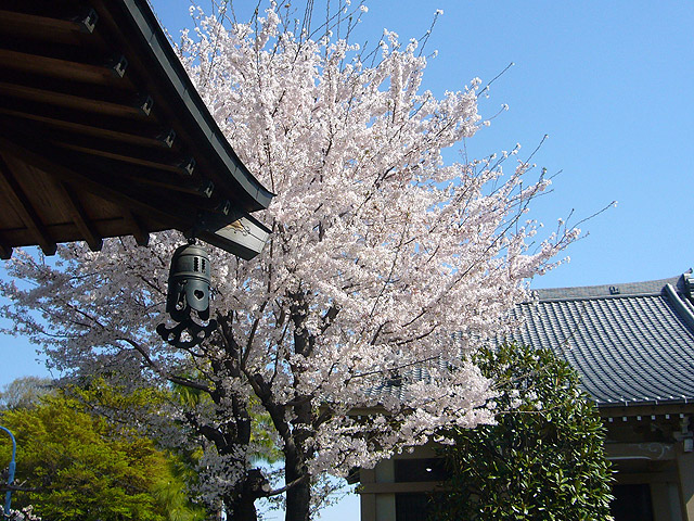 松應寺