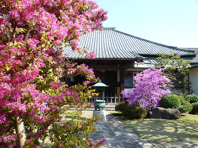 宋泰院